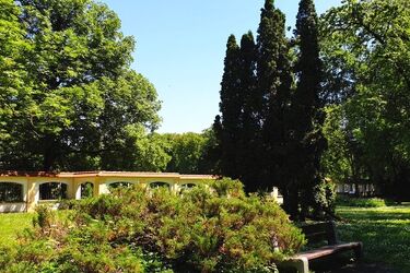 W Białymstoku coraz cieplej. Odczuwalna temperatura sięgnie 26°C