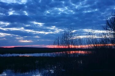 Na niebie pojawi się pełnia Księżyca Jesiotrów 