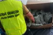 Podlascy pogranicznicy ujawnili narkotyki warte miliony [WIDEO]