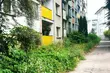 Zieleń kością niezgody. Mieszkanka skarży się na krzaki - co na to spółdzielnia?