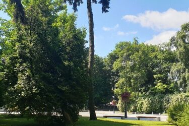Upały nie odpuszczą - synoptycy ostrzegają
