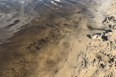 Pijany mężczyzna wskoczył do wody. Uderzył głową o dno