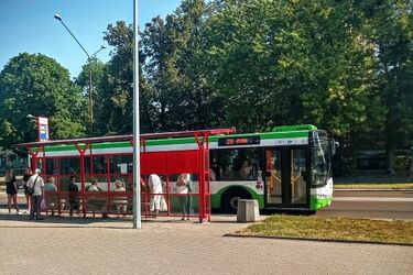Przy przystankach nie powinno być pasów zieleni? Społecznik radzi, by wyłożyć je kostką