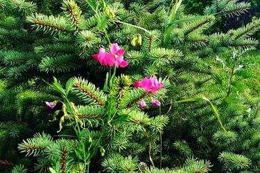 Przed nami kolejny upalny dzień