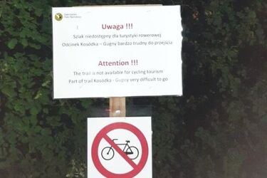 Turyści z dwójką małych dzieci utknęli na mokradłach