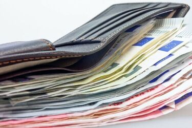 Chciał wwieźć do Polski niemal 55 tys. euro. Musiał zapłacić 15 tys. zł mandatu