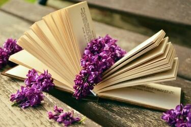 Zbliża się kolejna akcja "Książka za worek śmieci". Można się zgłaszać