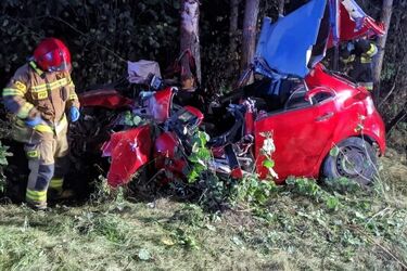 Auto uderzyło w drzewo. Kobieta była zakleszczona w pojeździe [ZDJĘCIA]
