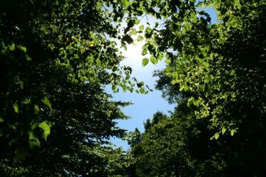 Jaka pogoda czeka nas we wtorek?