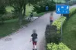 12-latek uszkodził 7 drzew. Jego losem zajmie się sąd rodzinny
