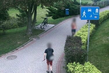 12-latek uszkodził 7 drzew. Jego losem zajmie się sąd rodzinny