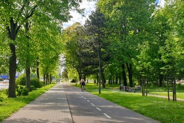 Początek nowego tygodnia bez opadów