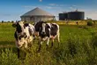W Podlaskiem powstaną 4 mikrobiogazownie. Za ponad 4,7 mln zł 