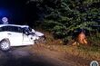 Auto uderzyło w przydrożne drzewo. Są ranni