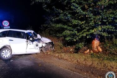 Auto uderzyło w przydrożne drzewo. Są ranni