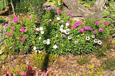 W Białymstoku temperatura wzrośnie - będzie do 19°C