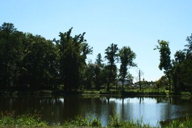 Czwartek przyniesie dużą ilość słońca