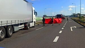 Motocyklista wjechał pod prąd na ekspresówkę. Zginął na miejscu [ZDJĘCIA]