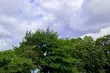 Jaki będzie początek tygodnia?