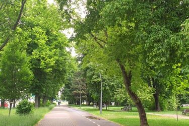 Wtorek z przelotnymi opadami