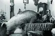 Przyprowadź znajomych na pokaz filmu 
