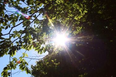 Rozpoczęła się jesień