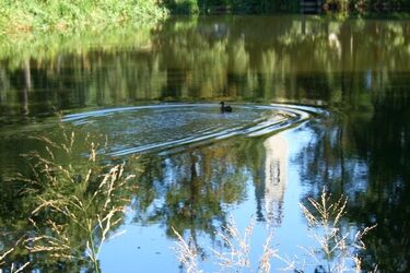 Ostatni weekend września - jakiej pogody możemy się spodziewać?