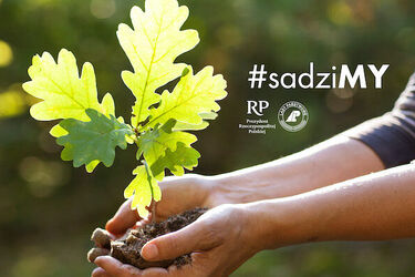 Akcja #sadziMY - można dostać sadzonkę drzew
