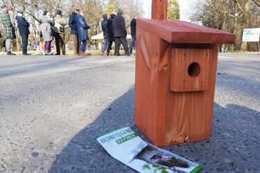 Miasto rozdawało budki lęgowe. Prawie połowa z nich znalazła lokatorów