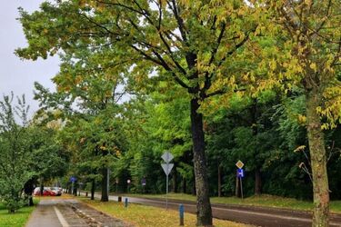 Pierwszy poniedziałek października z silnym wiatrem i deszczem