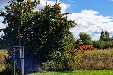 W Białymstoku temperatura wzrośnie do 19°C