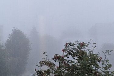 IMGW ostrzega przed gęstą mgłą