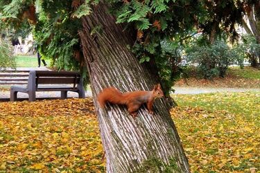 W weekend słońca nie zabraknie. Ile będzie stopni?