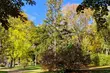 Do Białegostoku nadchodzi ocieplenie - będzie do 20°C