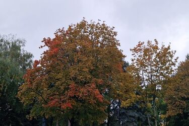 Czeka nas ochłodzenie, a w nocy przymrozek