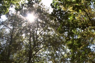 W czwartek pogoda dopisze