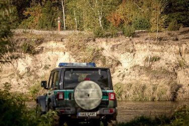 W ręce pograniczników trafiło 10 "kurierów". Próbowali wywieść 45 migrantów