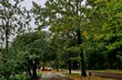 Półmetek tygodnia będzie ciepły, ale i mokry