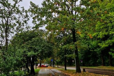 Półmetek tygodnia będzie ciepły, ale i mokry