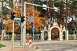 Wszystkich Świętych. Będzie zmiana organizacji ruchu w rejonie nekropolii 