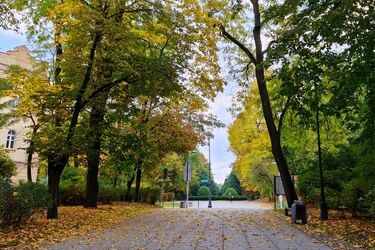 Ostatni weekend października przyniesie dużo ciepła