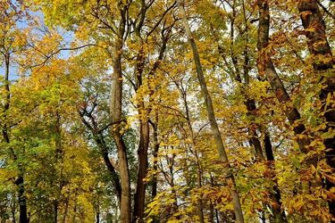 Przed nami ostatni dzień października