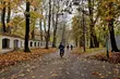 Mokry półmetek tygodnia