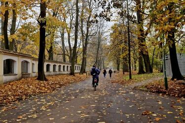 Mokry półmetek tygodnia