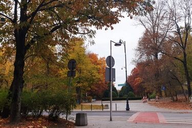 Parasole można zostawić w domu - czwartek bez opadów