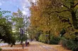 Jaka pogoda czeka nas w długi weekend? Prognoza dla Białegostoku