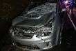 Wypadki z udziałem zwierzyny leśnej. Policja prosi o uważną i rozważną jazdę
