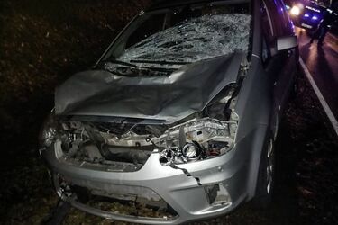 Wypadki z udziałem zwierzyny leśnej. Policja prosi o uważną i rozważną jazdę