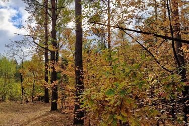 Będzie coraz chłodniej, ale wciąż słonecznie