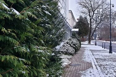 W ciągu dnia 0°C i pierwszy śnieg